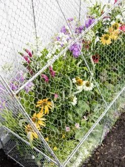 Chicken Wire Flat Back Crop Coop -Plant Care Shop 8611701 153 tif