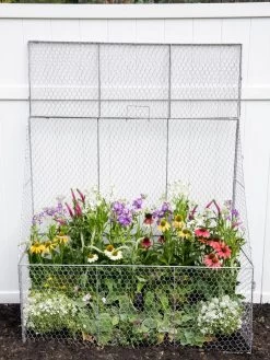 Chicken Wire Flat Back Crop Coop -Plant Care Shop 8611701 159 tif