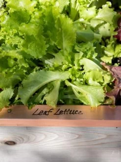 Re-Markable Raised Bed Trim -Plant Care Shop 8611757 326 tif