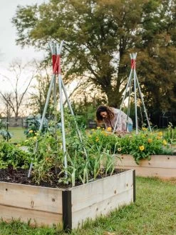 DIY Connector For Teepee Trellis -Plant Care Shop 8611896 38 tif
