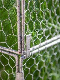 Chicken Wire Crop Coop Extension -Plant Care Shop 8611940 232 tif