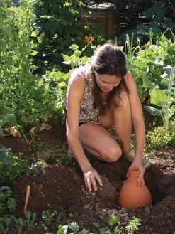 Hydro Max Watering System -Plant Care Shop 8611967 15V tif