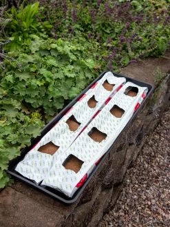 Berry Blend Coir Grow Bag, Set Of 2 -Plant Care Shop 8611968 361 tif