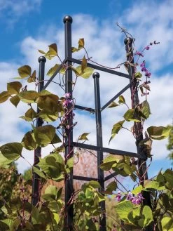 Essex Square Obelisk -Plant Care Shop 8611984 354 tif