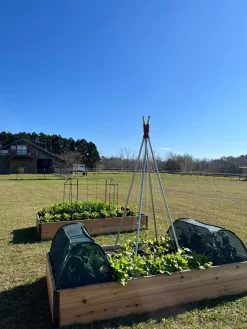 Insect And Pest Net Row Protector -Plant Care Shop 8611985 04 tif