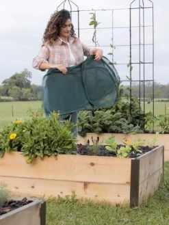 Insect And Pest Net Row Protector -Plant Care Shop 8611985 8389 tif