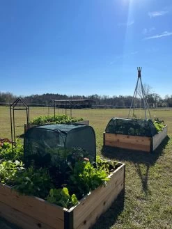 Pest Control Pop-Ups -Plant Care Shop 8611989 05 tif