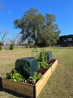 Pest Control Pop-Ups -Plant Care Shop 8611989 08 tif