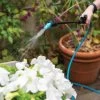 Indoor Outdoor Plant Sprayers 2 Indoor Outdoor Plant Sprayers -Plant Care Shop 8611993 029 tif