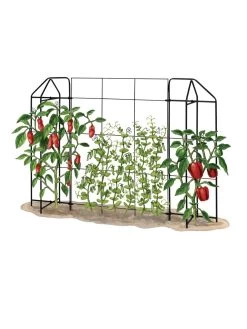 Zenith Trellis -Plant Care Shop 8612035 art tif