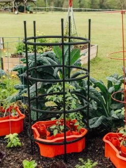 Deluxe Tomato Halos, Set Of 2 -Plant Care Shop 8612045 228 tif