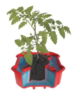 Deluxe Tomato Halos, Set Of 2 -Plant Care Shop 8612045 crosshatch tif