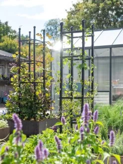 Featured Products -Plant Care Shop 8612046 346 tif