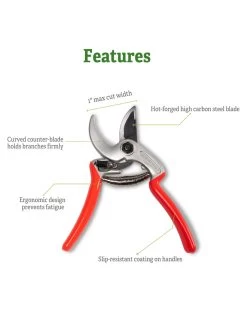 Castellari Mini Anvil Pruner -Plant Care Shop 8612199 5