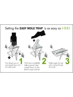 Easy Mole Trap -Plant Care Shop 8612557 04v 1