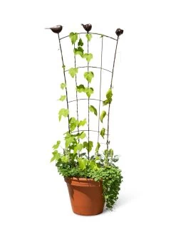 Flock Of Friends Pot Trellis -Plant Care Shop 8612635 0003