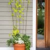 Flock Of Friends Pot Trellis -Plant Care Shop 8612635 0081 flock of friends pot trellis