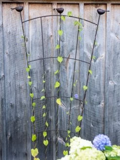 Featured Products -Plant Care Shop 8612636 0023