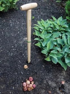 Wicked Big Dibber -Plant Care Shop 8612667 0028