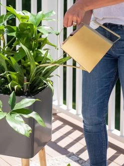 Precision Brass Watering Can 9 Precision Brass Watering Can -Plant Care Shop 8612691 0011