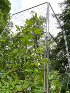 Chicken Wire Pea Trellis -Plant Care Shop 8612718 7308
