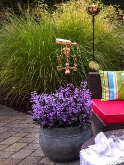 Sonoma Hose Pot 8 Sonoma Hose Pot -Plant Care Shop 8612733 02V tif