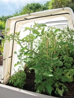 Cotton All Purpose Garden Cover -Plant Care Shop 8612815 0038 tif