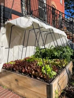 Zenith Garden Hoops, Set Of 4 -Plant Care Shop 8612816 01CUST 1