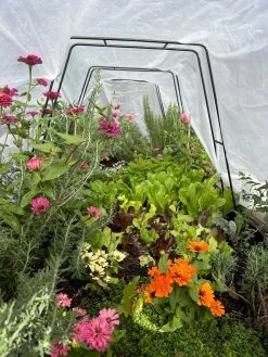 Zenith Garden Hoops, Set Of 4 -Plant Care Shop 8612816 01TEST 1