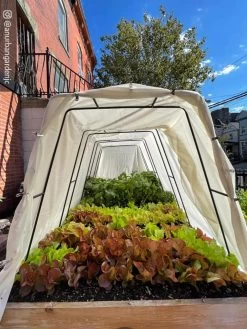 Cotton All Purpose Garden Cover -Plant Care Shop 8612816 03CUST