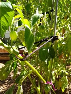 Farmyarn® Multipurpose Garden Tie, 2 Pack -Plant Care Shop 8612948 02v