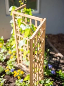 Bamboo Zig-Zag Trellis 24" X 36" -Plant Care Shop 8613151 6459