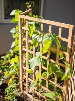 Bamboo Zig-Zag Trellis 24" X 36" -Plant Care Shop 8613151 6467