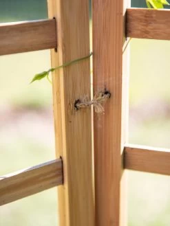 Bamboo Zig-Zag Trellis 24" X 36" -Plant Care Shop 8613151 6483