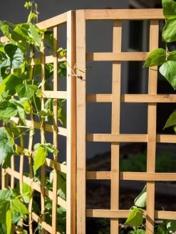 Bamboo Zig-Zag Trellis 24" X 36" -Plant Care Shop 8613151 6491