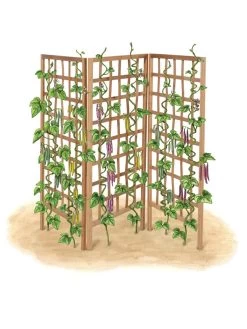 Bamboo Zig-Zag Trellis 24" X 36" -Plant Care Shop 8613151 art flat