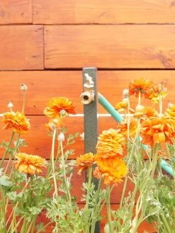 Yard Butler® Hose Bibe Extender -Plant Care Shop 8613160 01v