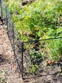 Chicken Wire Critter Fence, 16" High 19 Chicken Wire Critter Fence, 16" High -Plant Care Shop 8613249 0309