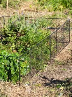 Chicken Wire Critter Fence, 16" High 20 Chicken Wire Critter Fence, 16" High -Plant Care Shop 8613249 0336