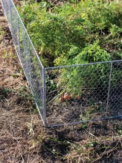 Chicken Wire Critter Fence, 16" High 17 Chicken Wire Critter Fence, 16" High -Plant Care Shop 8613249 0358