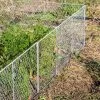 Chicken Wire Critter Fence, 16" High -Plant Care Shop 8613249 0368 chicken wire critter fence 16 inches high