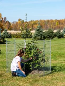 Tall Chicken Wire Critter Fence Extension Panel, Set Of 2 -Plant Care Shop 8613260 0044 1