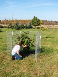 Tall Chicken Wire Critter Fence Extension Panel, Set Of 2 -Plant Care Shop 8613260 0090