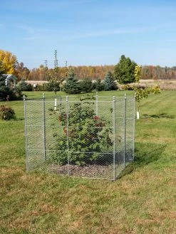 Tall Chicken Wire Critter Fence Extension Panel, Set Of 2 -Plant Care Shop 8613262 0116