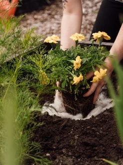 Hortiwool ®, Starter Garden Pad -Plant Care Shop 8613263 12v