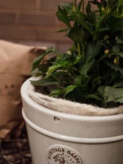 Hortiwool ®, 5 Pad Pack -Plant Care Shop 8613263 17v