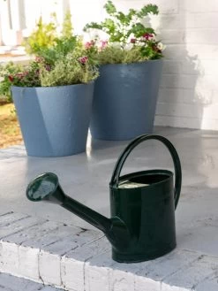 Plant Care Shop -Plant Care Shop 8613346 0142 long reach watering can large