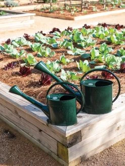 Plant Care Shop -Plant Care Shop 8613346 0148