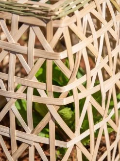 Bamboo Cloche, Set Of 2 -Plant Care Shop 8613351 0153