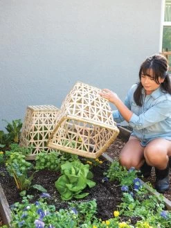 Bamboo Cloche, Set Of 2 -Plant Care Shop 8613351 6862